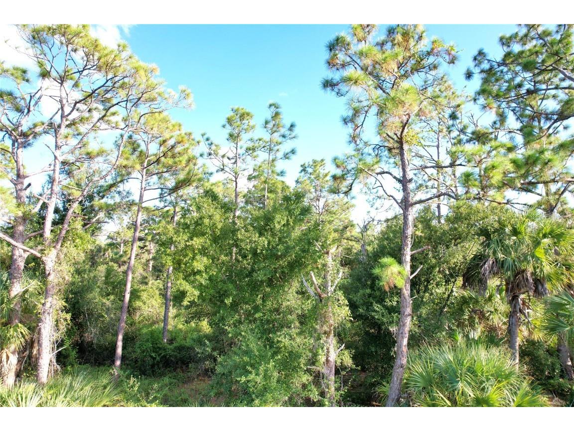 1294 Birch Terrace Port Charlotte FL 33953 C7516076 image6