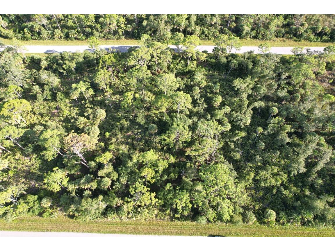 1294 Birch Terrace Port Charlotte FL 33953 C7516076 image7