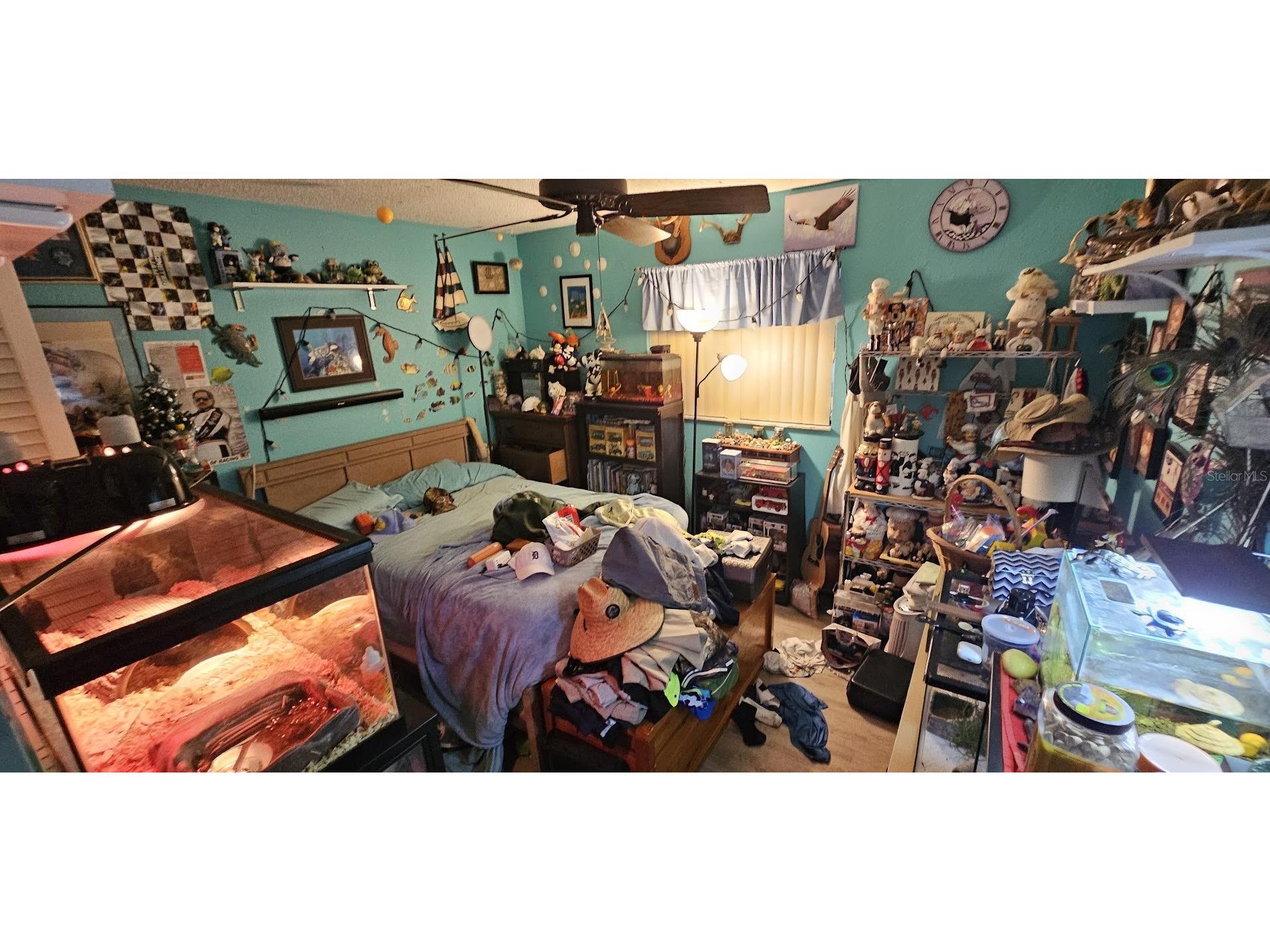 12940 116th Street Largo FL 33778 TB8474970 image6