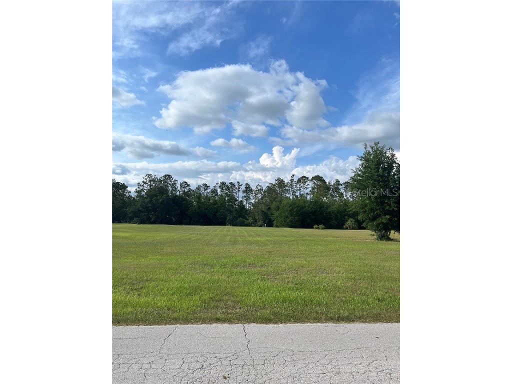 12940 Curley San Antonio FL 33576 TB8395850 image1