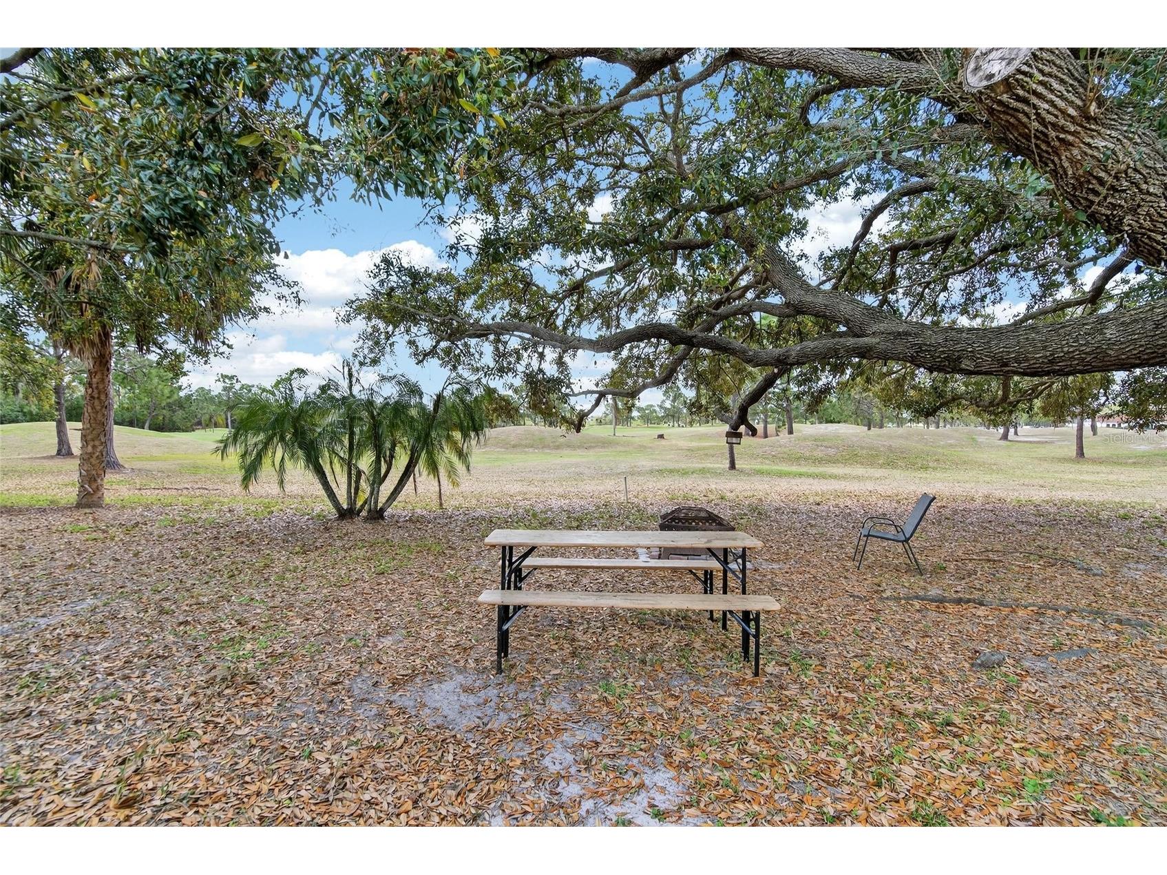12940 Prestwick Drive Riverview FL 33579 TB8484515 image26