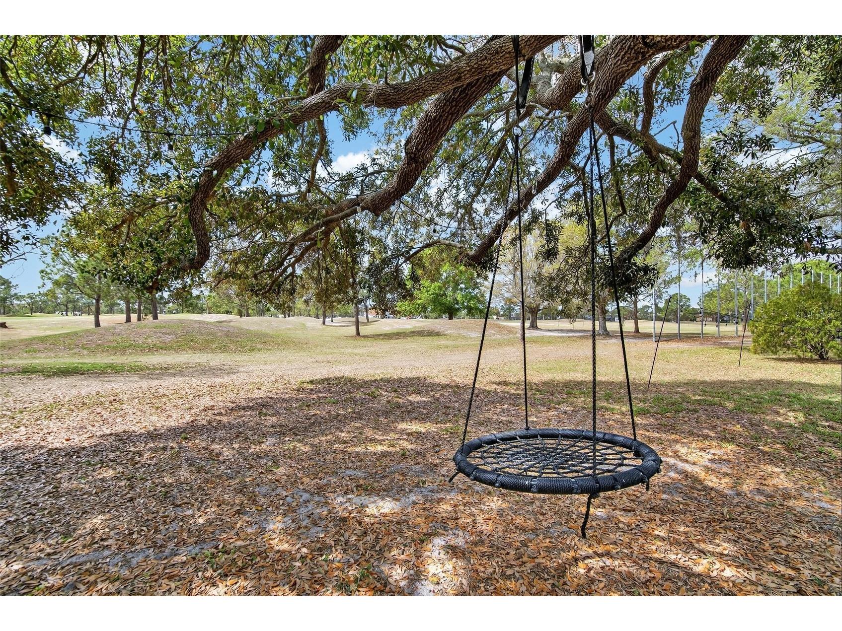 12940 Prestwick Drive Riverview FL 33579 TB8484515 image28