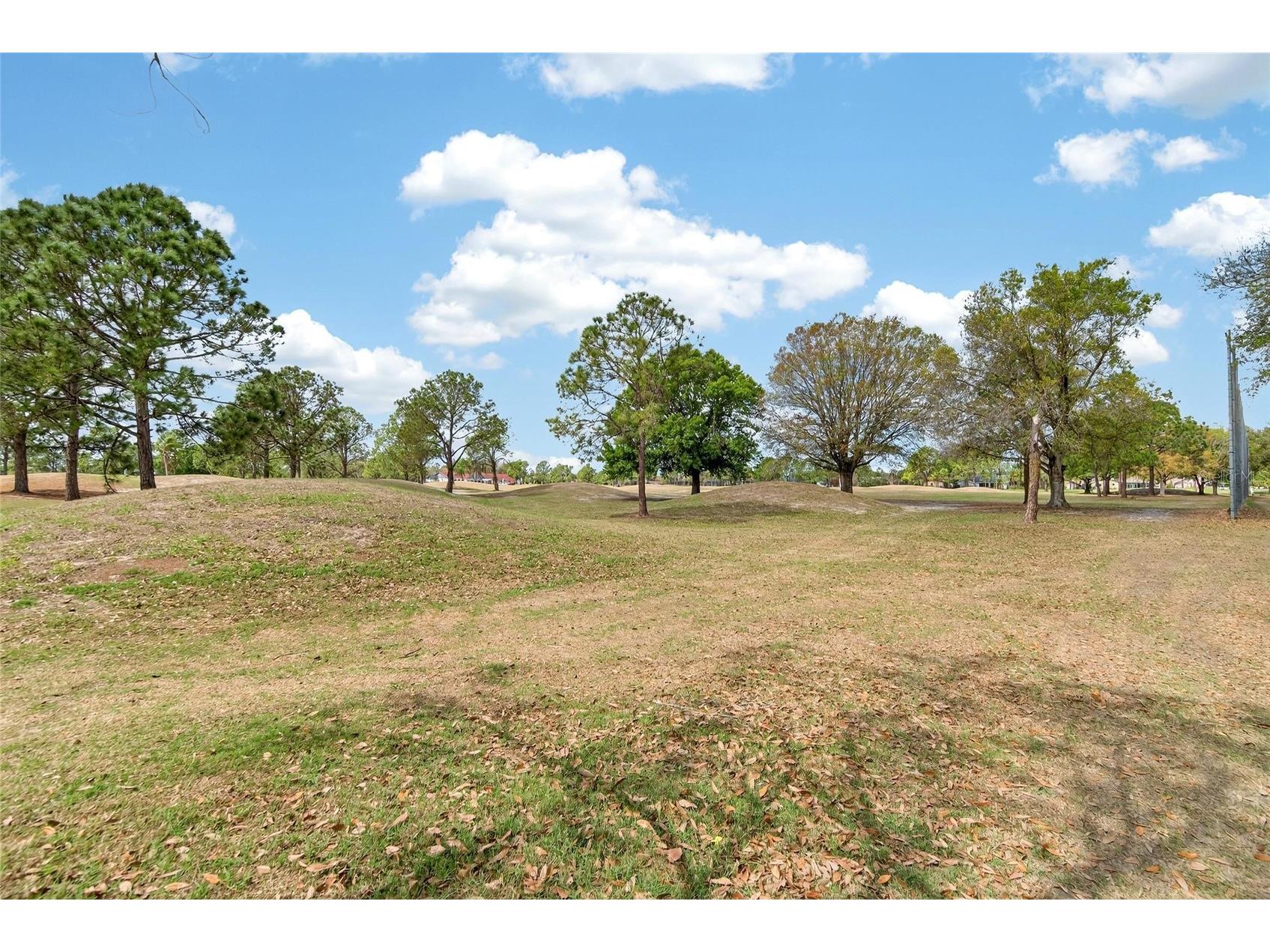 12940 Prestwick Drive Riverview FL 33579 TB8484515 image29