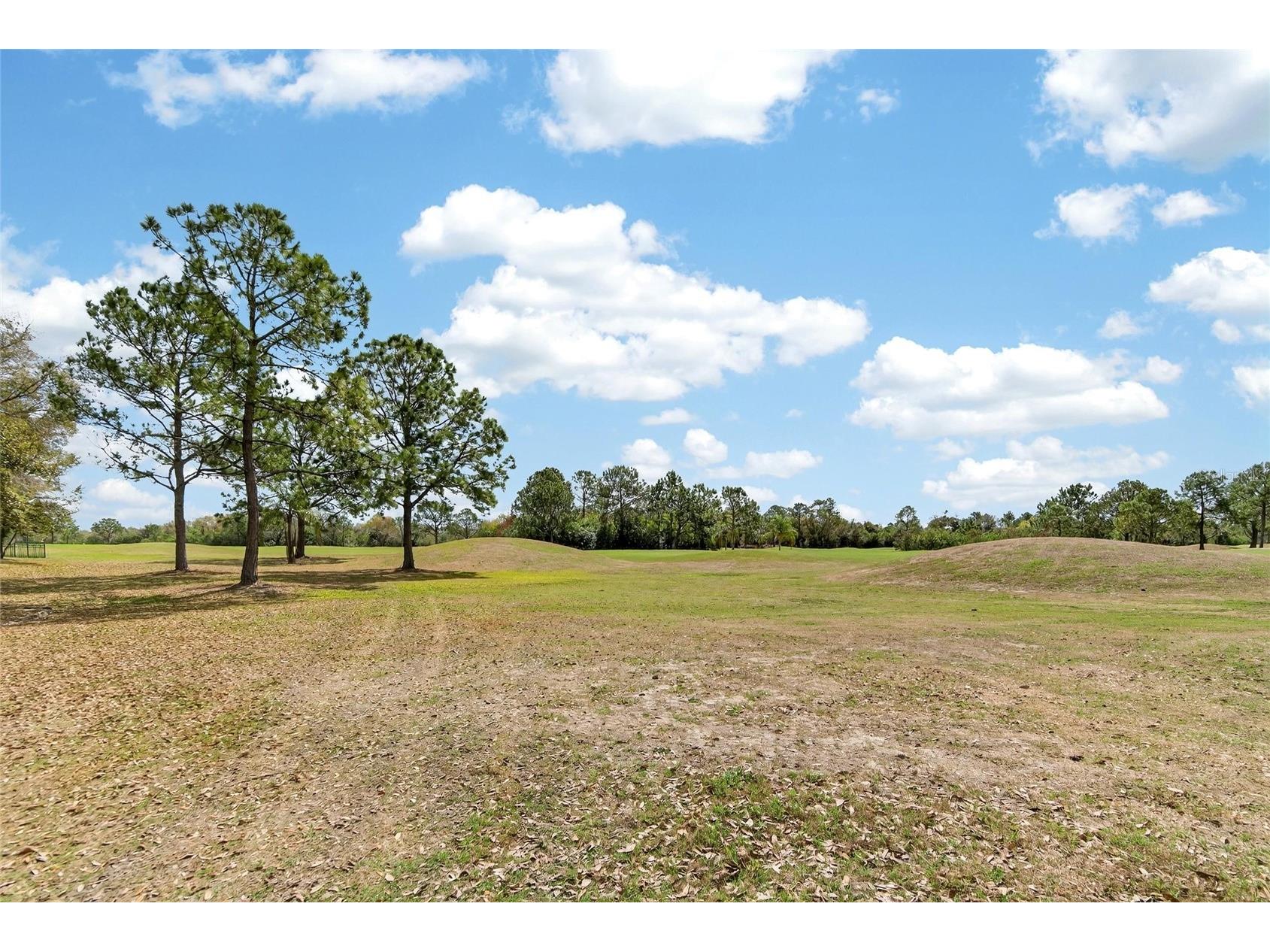 12940 Prestwick Drive Riverview FL 33579 TB8484515 image30