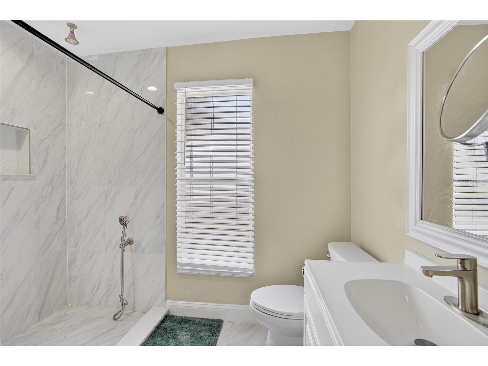 12940 Prestwick Drive Riverview FL 33579 TB8484515 image96