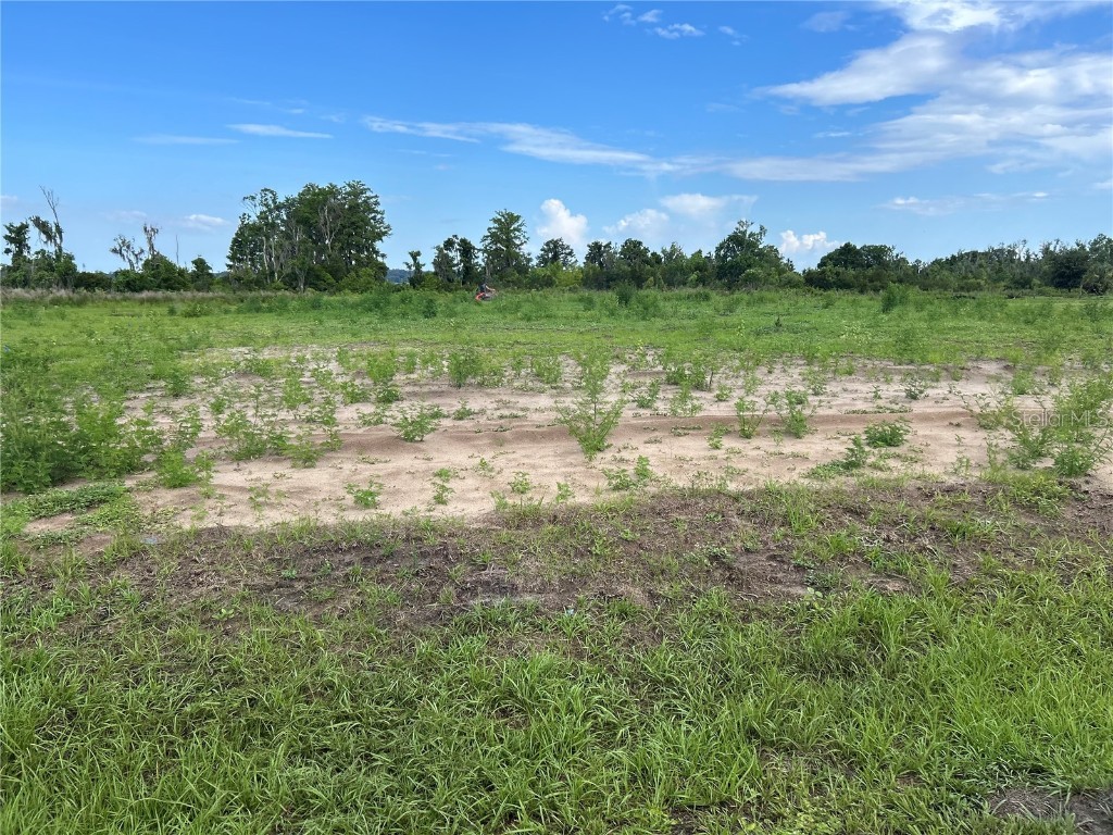 12942 Stillwater Cove Drive Astatula FL 34705 - LITTLE LAKE HARRIS O6368290 image1