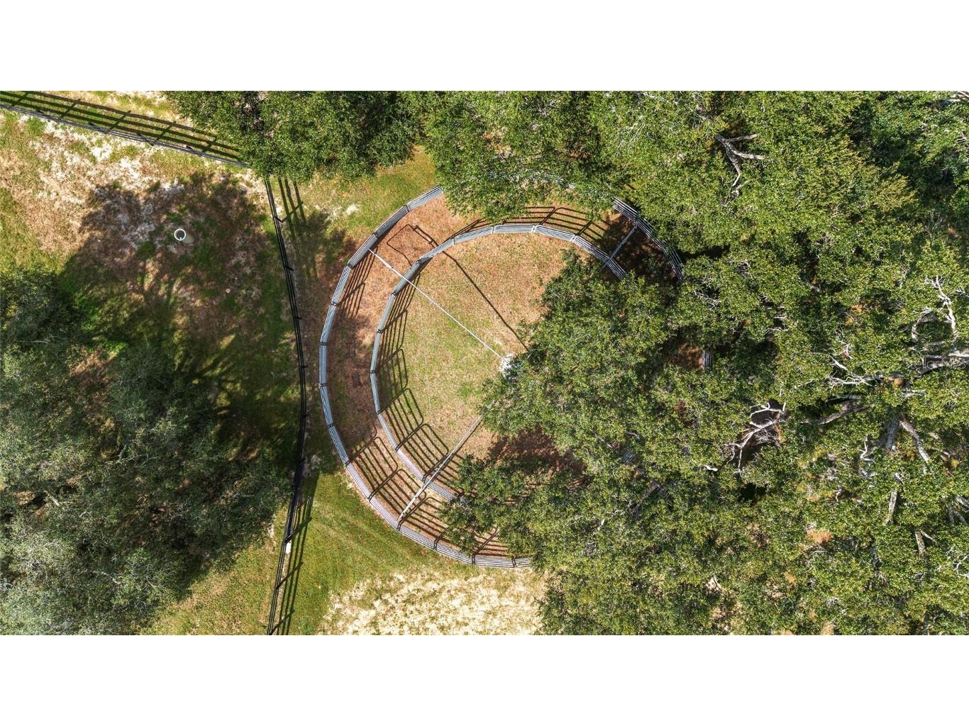 12943 County Road 245e Oxford FL 34484 OM712548 image11