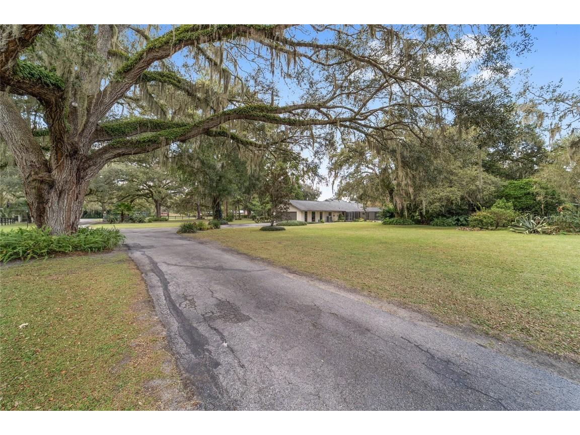 12943 County Road 245e Oxford FL 34484 OM712548 image18