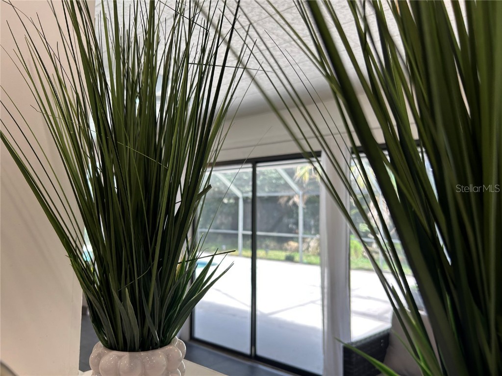 12943 County Road 245e Oxford FL 34484 OM712548 image30