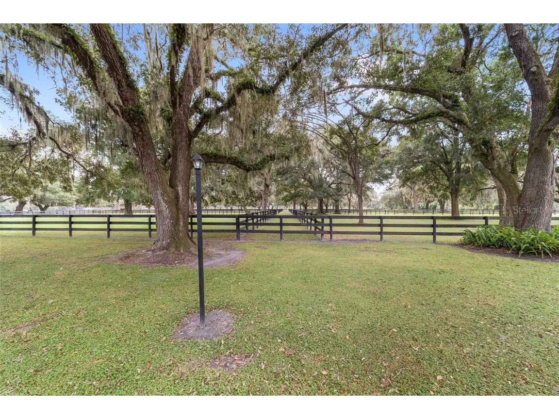 12943 County Road 245e Oxford FL 34484 OM712548 image67