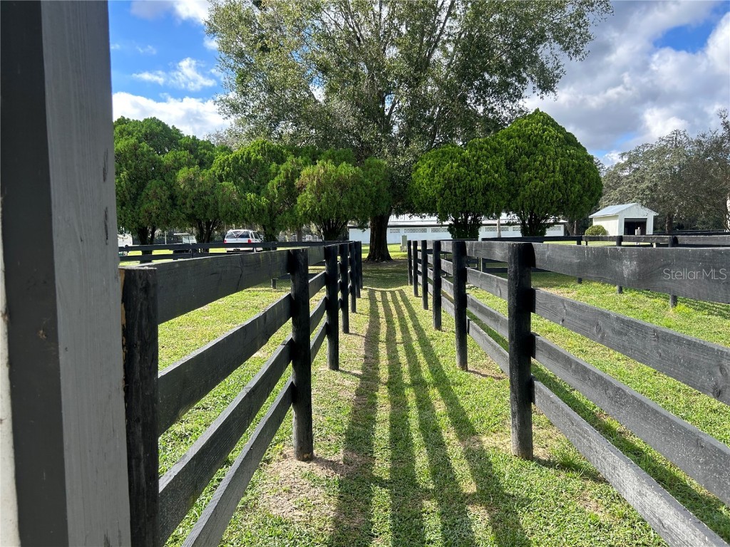 12943 County Road 245e Oxford FL 34484 OM712548 image78