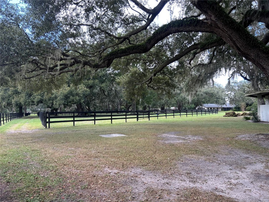 12943 County Road 245e Oxford FL 34484 OM712548 image84