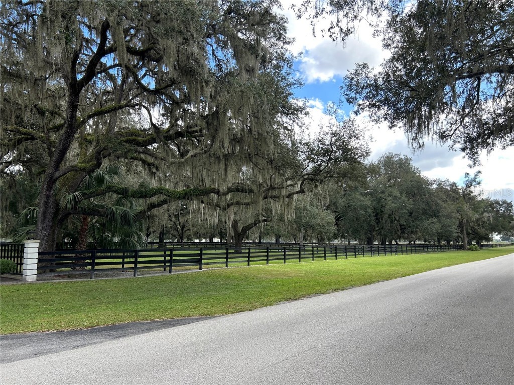 12943 County Road 245e Oxford FL 34484 OM712548 image87