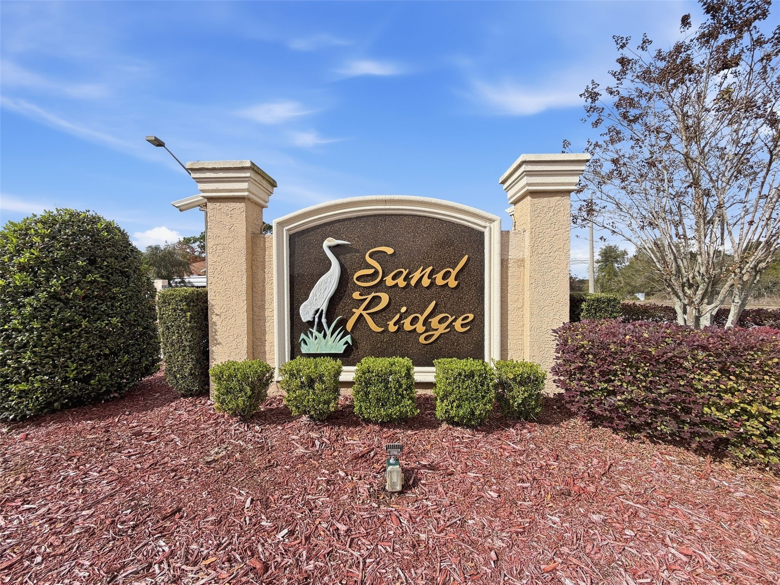 12943 Impatiens Street Spring Hill FL 34609 W7882133 image51