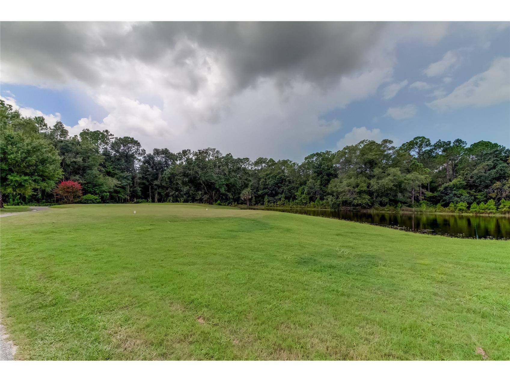 12943 Royal George Avenue Odessa FL 33556 TB8503997 image39