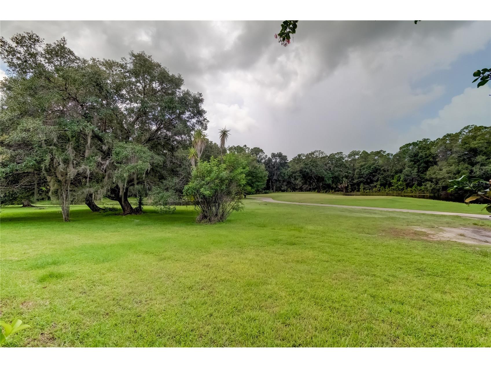 12943 Royal George Avenue Odessa FL 33556 TB8503997 image40