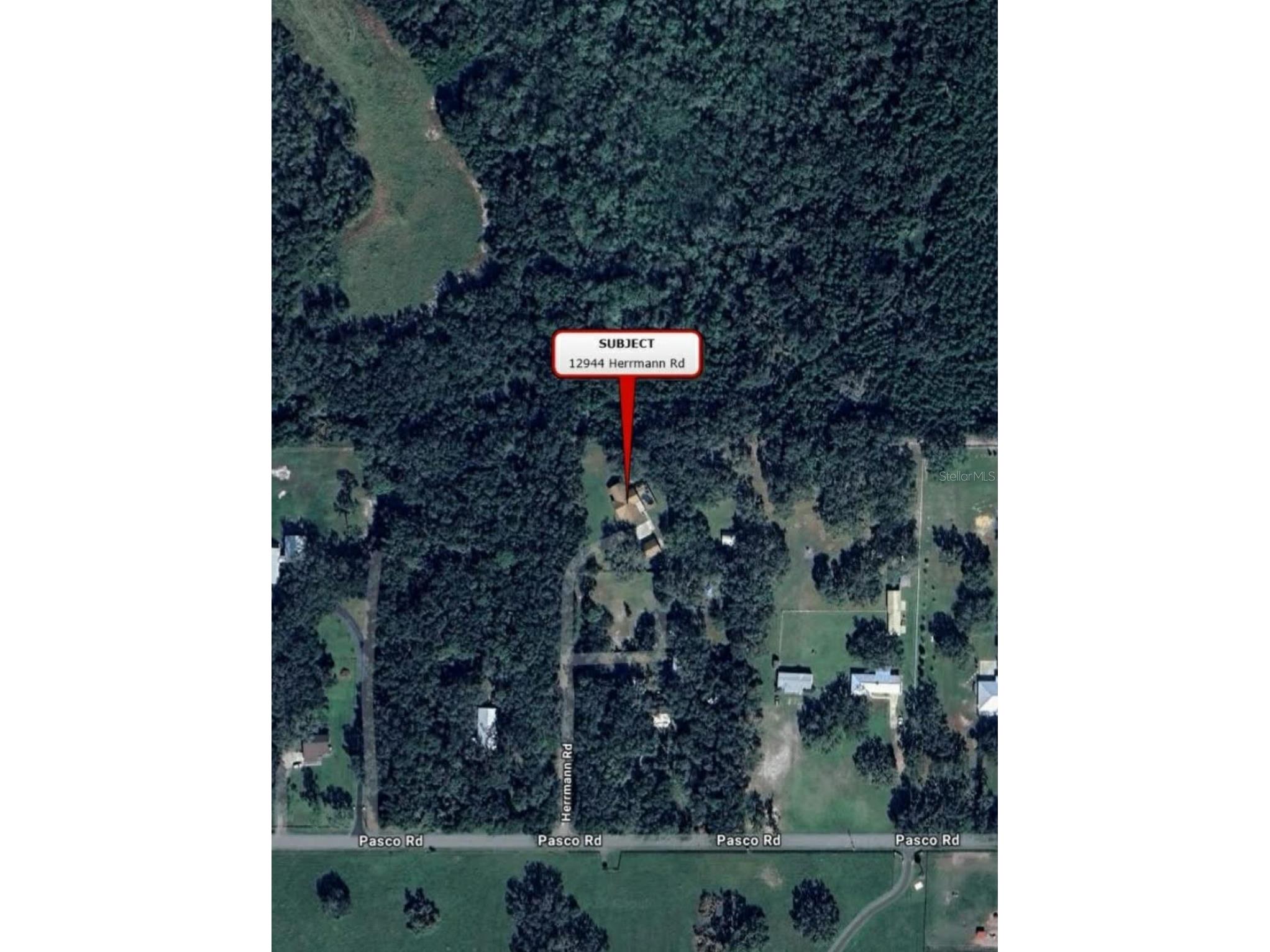 12944 Herrmann Road San Antonio FL 33576 TB8504283 image30