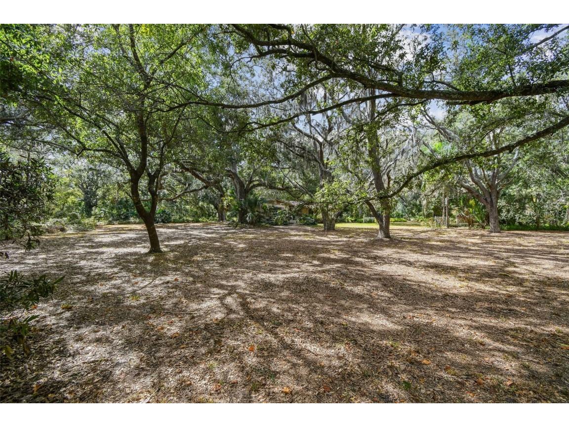 12944 Lincoln Road Riverview FL 33578 TB8439562 image11