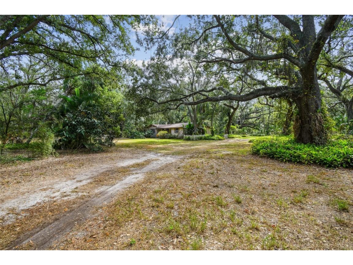 12944 Lincoln Road Riverview FL 33578 TB8439562 image2