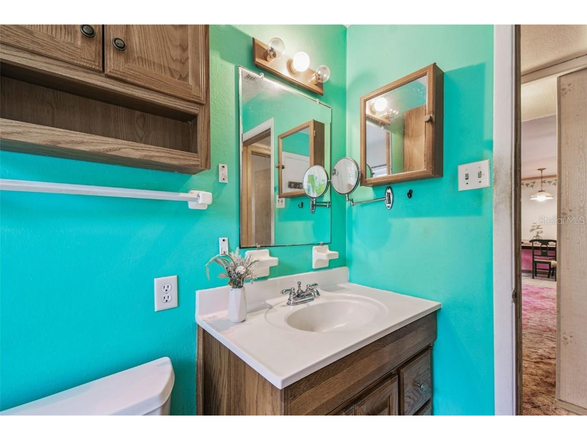 12944 Lincoln Road Riverview FL 33578 TB8439562 image59