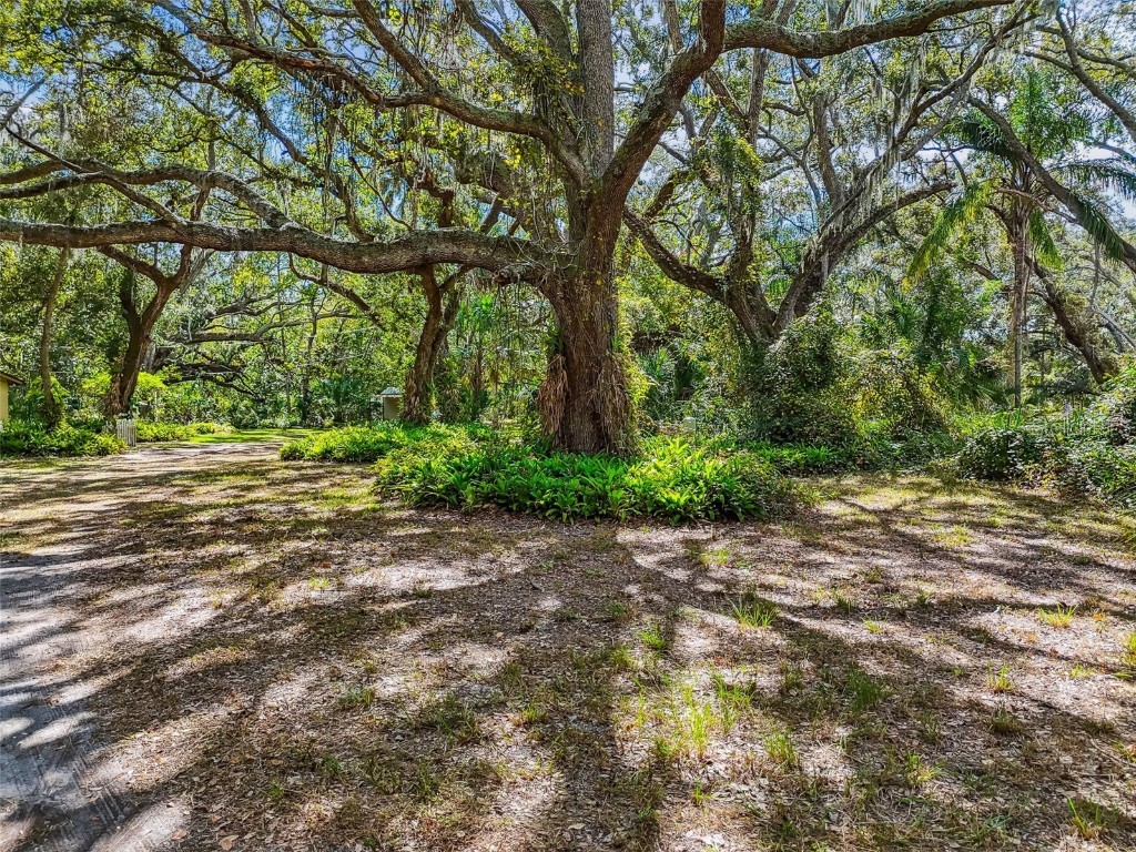 12944 Lincoln Road Riverview FL 33578 TB8439562 image67