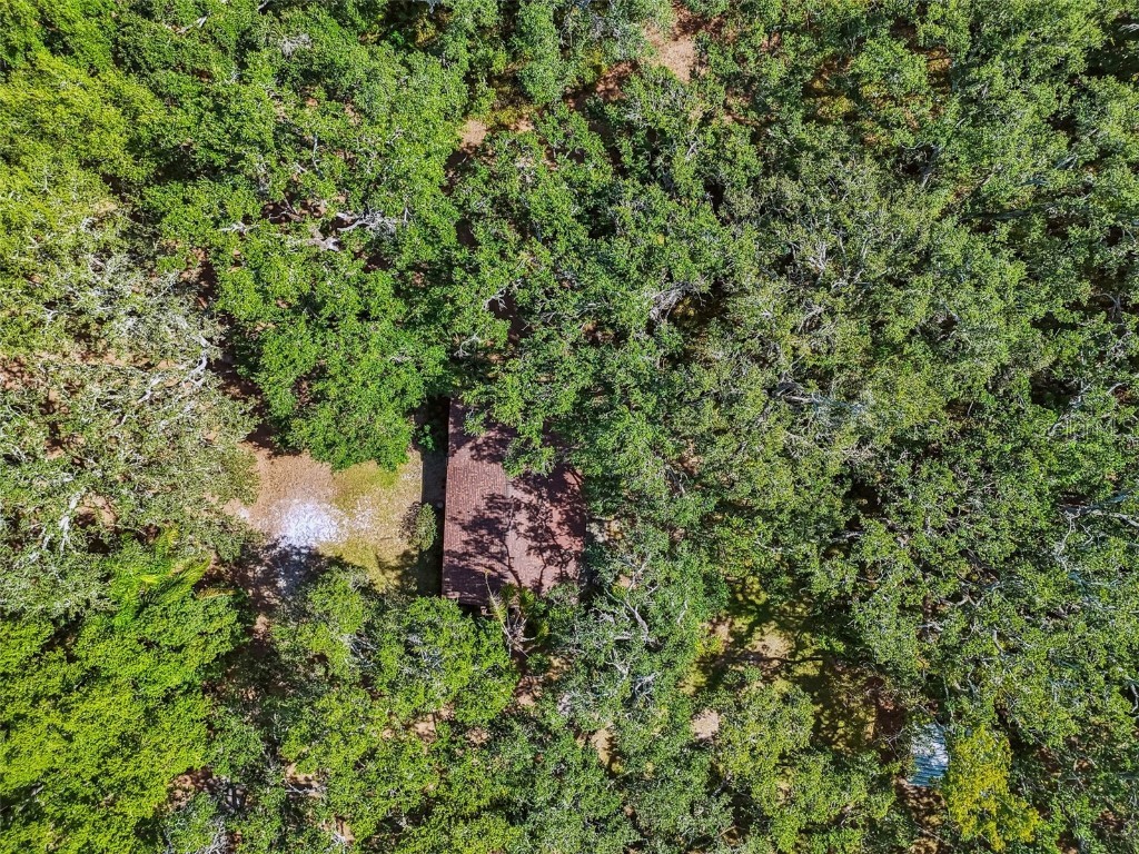 12944 Lincoln Road Riverview FL 33578 TB8439562 image75