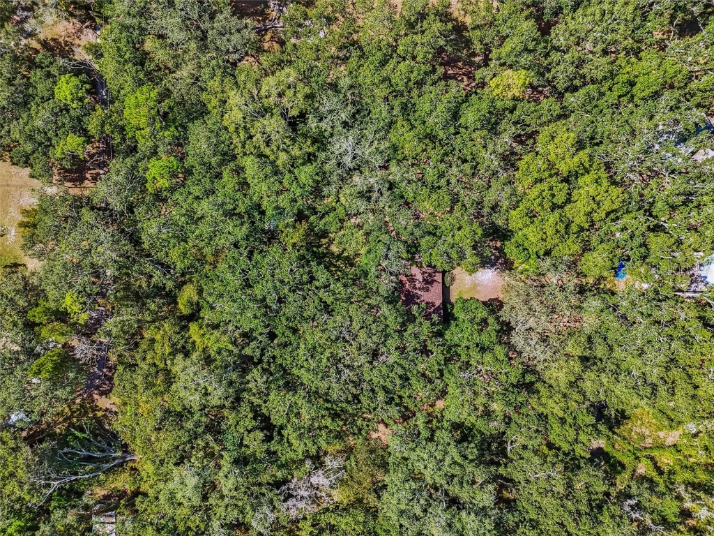 12944 Lincoln Road Riverview FL 33578 TB8439562 image76