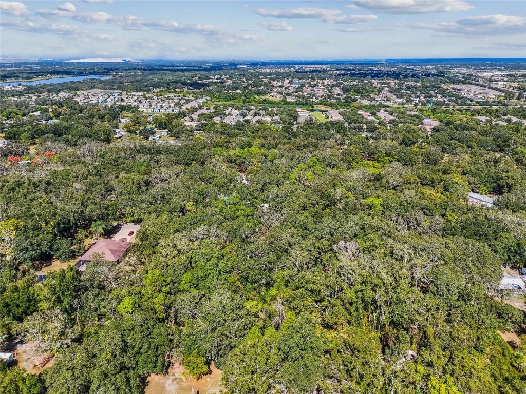 12944 Lincoln Road Riverview FL 33578 TB8439562 image77