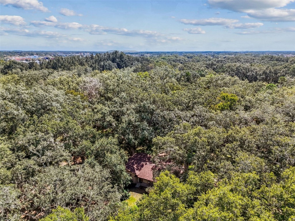 12944 Lincoln Road Riverview FL 33578 TB8439562 image78