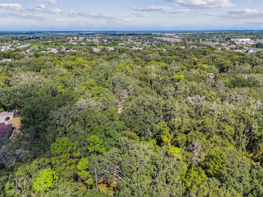 12944 Lincoln Road Riverview FL 33578 TB8439562 image79