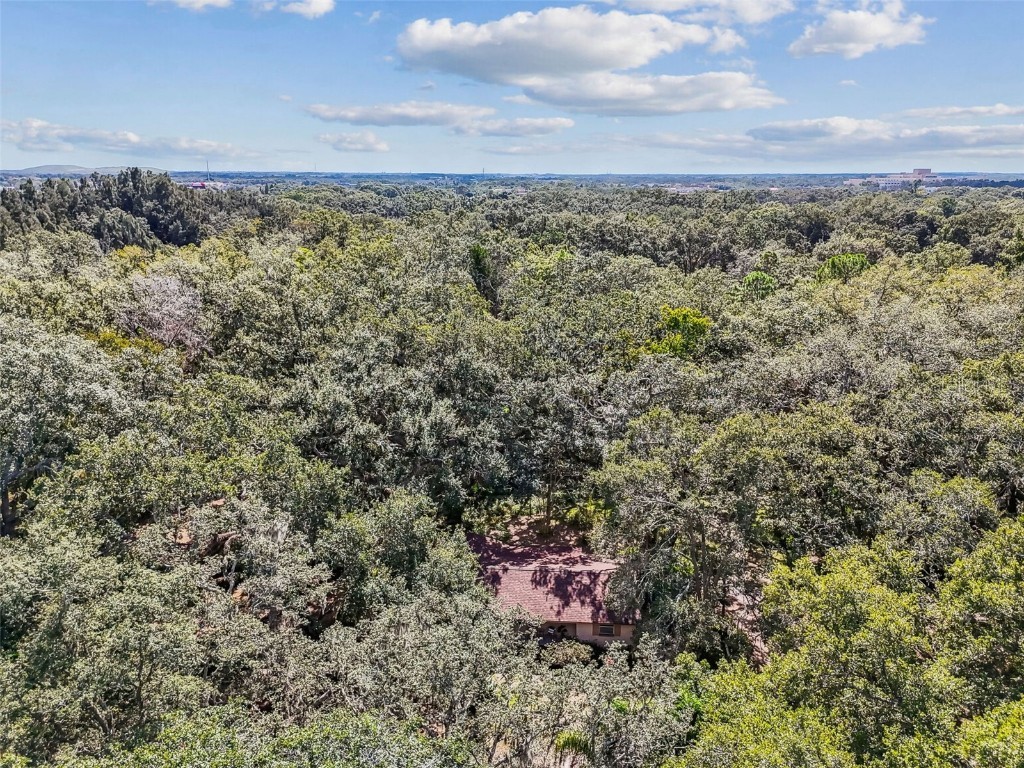 12944 Lincoln Road Riverview FL 33578 TB8439562 image80