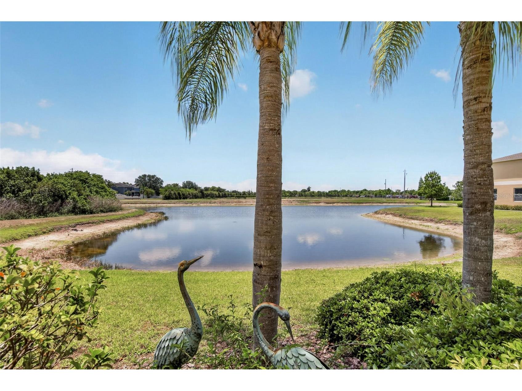 12944 Utopia Gardens Way Riverview FL 33579 TB8505004 image5