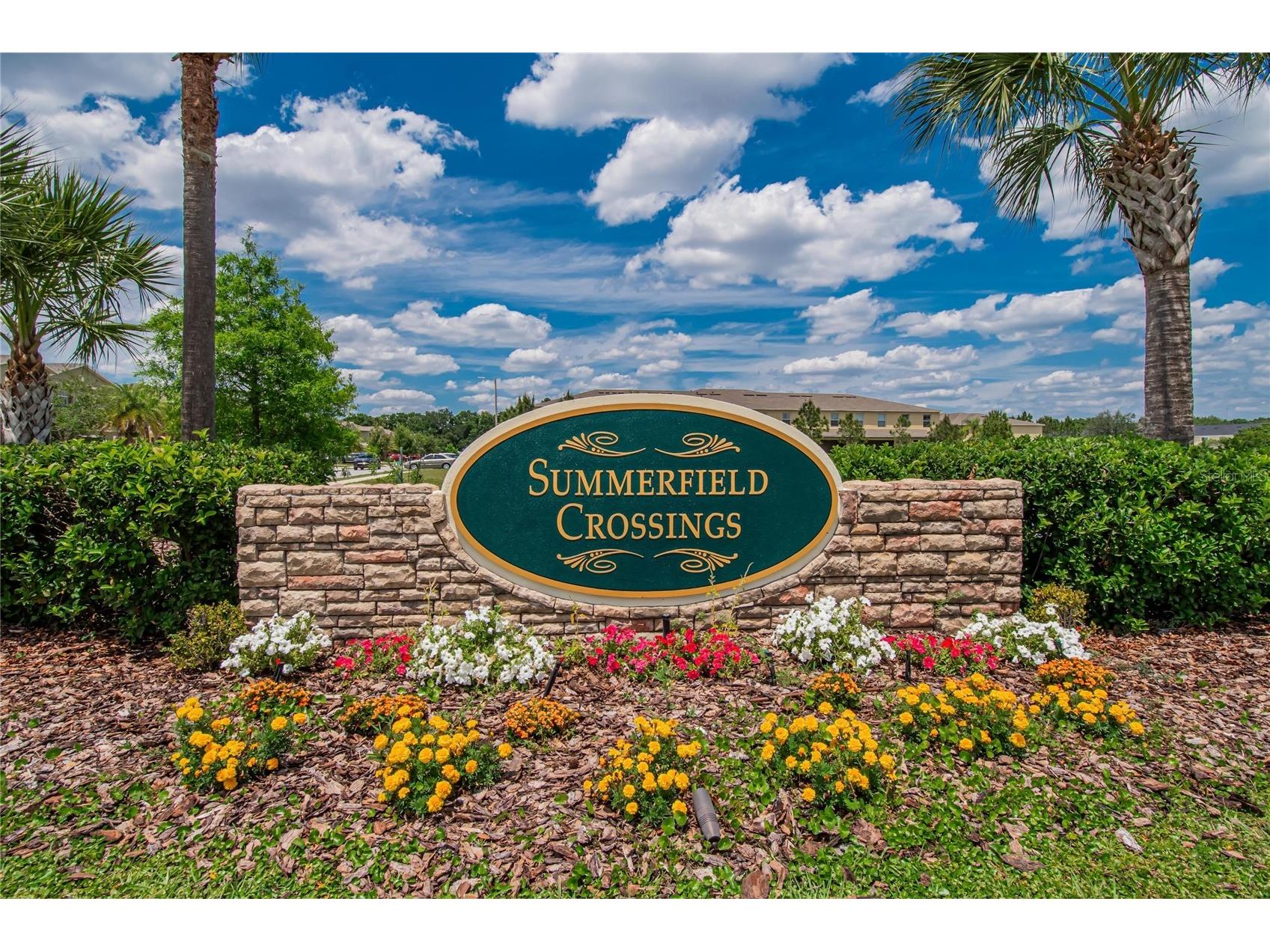 12944 Utopia Gardens Way Riverview FL 33579 TB8505004 image6