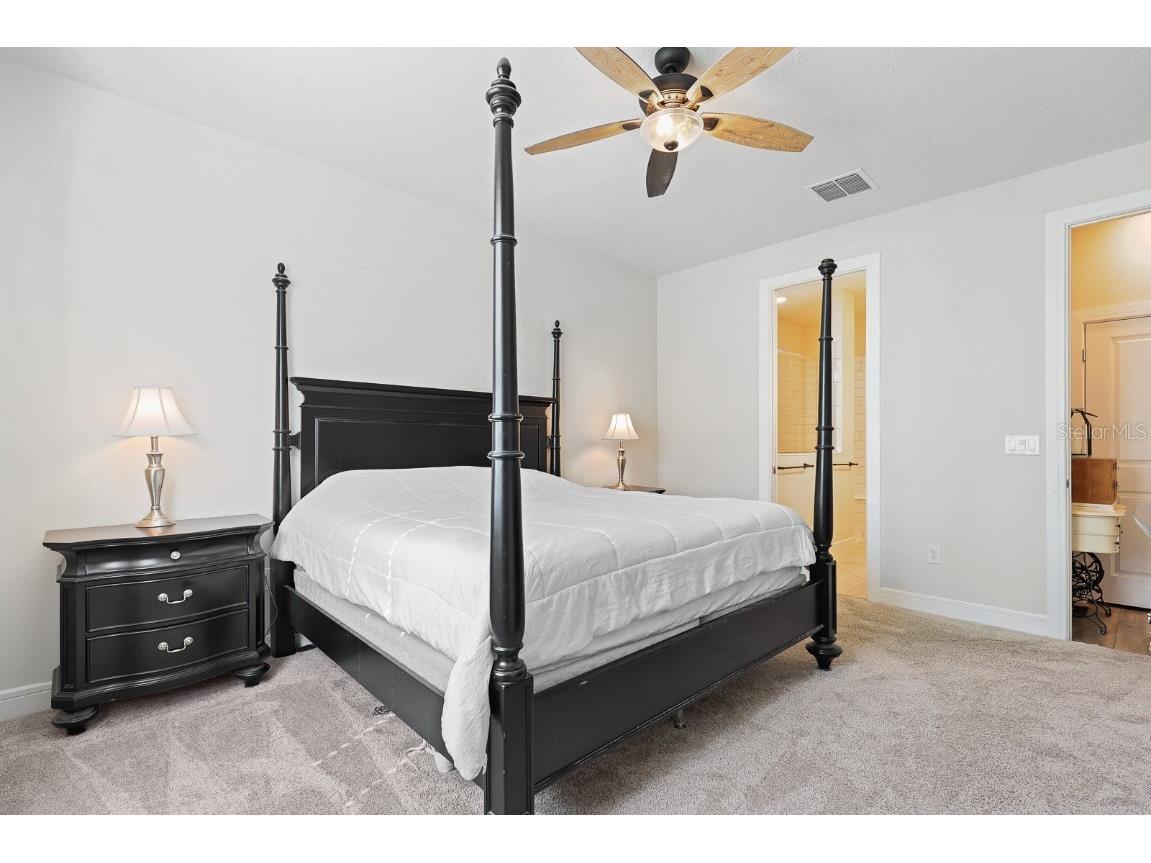 12945 Brookside Moss Drive Riverview FL 33579 TB8456091 image17