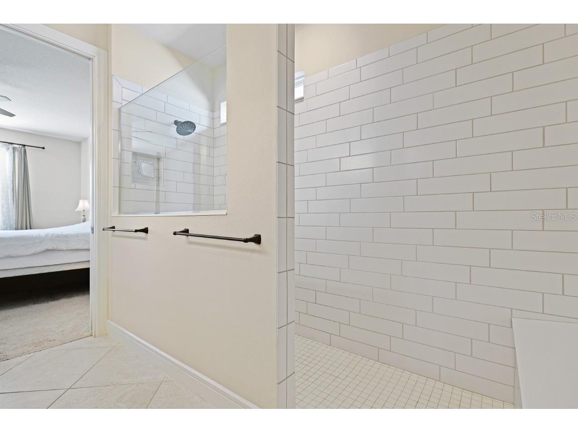 12945 Brookside Moss Drive Riverview FL 33579 TB8456091 image19