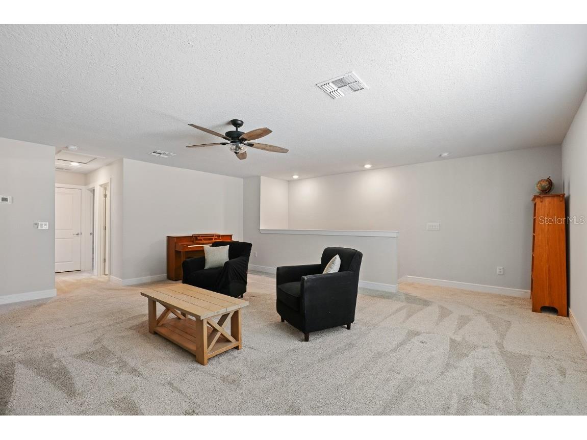 12945 Brookside Moss Drive Riverview FL 33579 TB8456091 image26