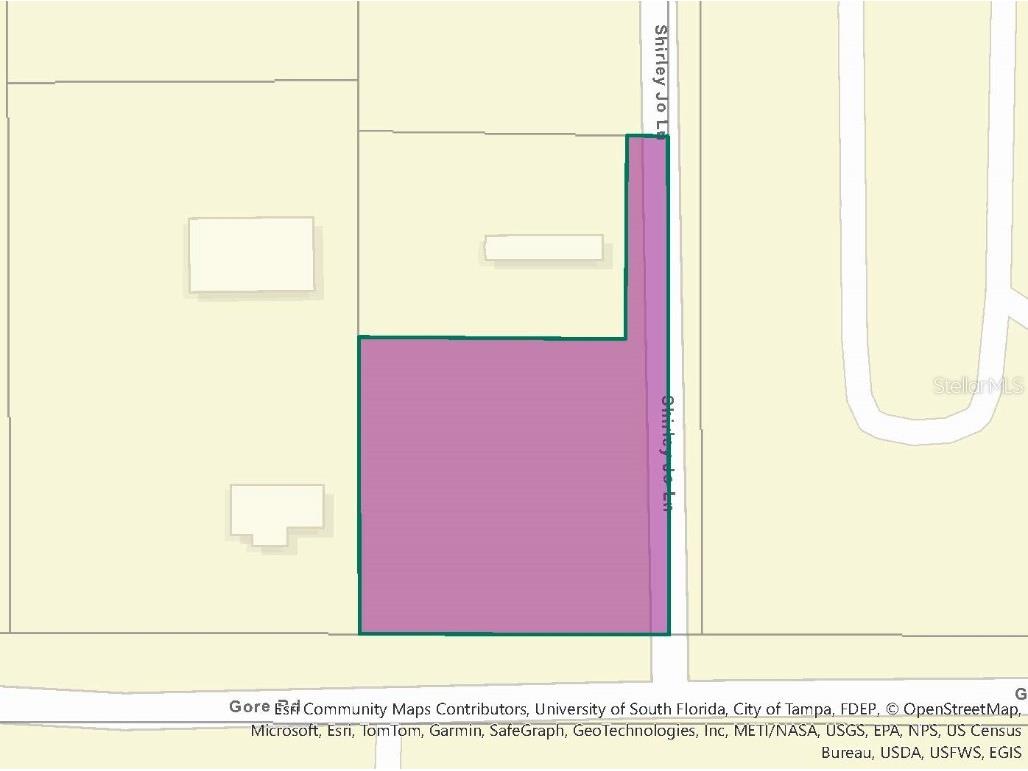 12946 Gore Road Dover FL 33527 T3517306 image2