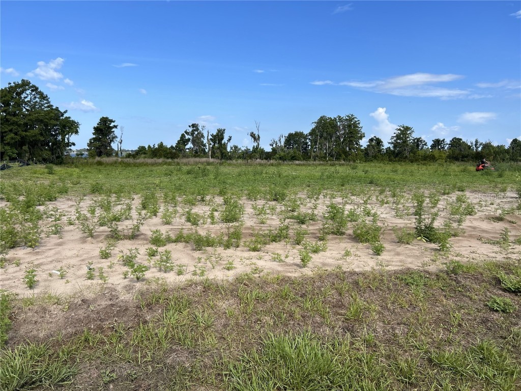 12946 Stillwater Cove Drive Astatula FL 34705 - LITTLE LAKE HARRIS O6313392 image2