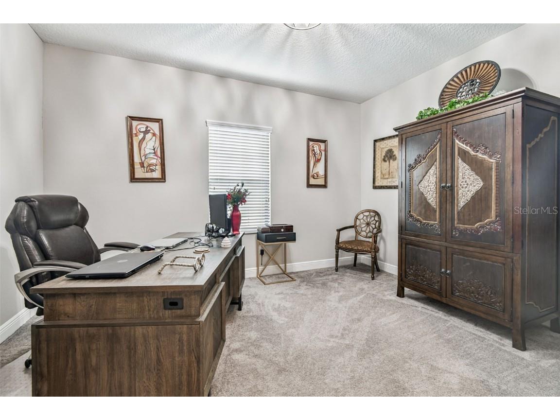 12948 Twin Bridges Drive Riverview FL 33579 TB8435388 image36