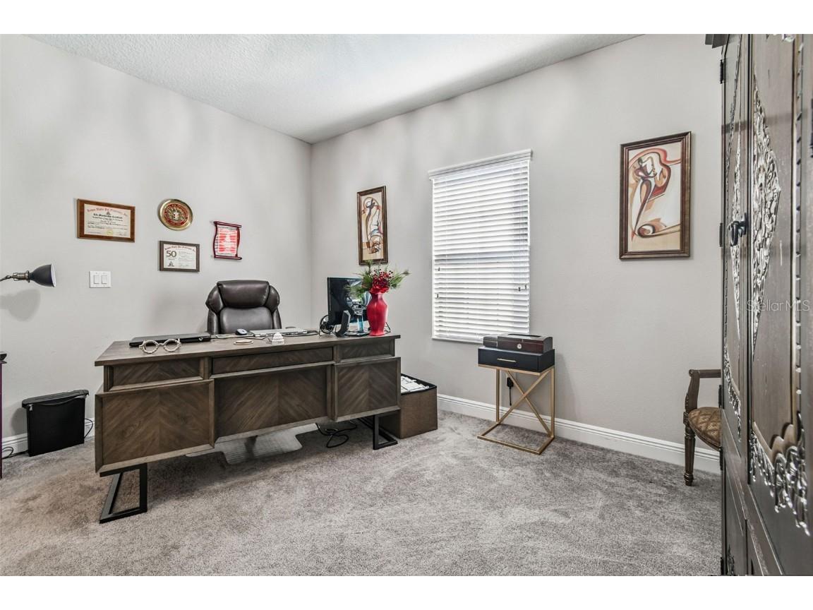 12948 Twin Bridges Drive Riverview FL 33579 TB8435388 image37