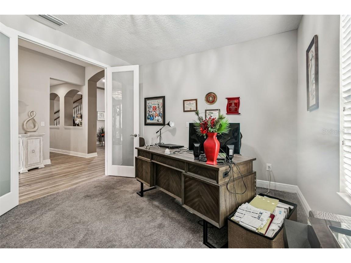 12948 Twin Bridges Drive Riverview FL 33579 TB8435388 image38