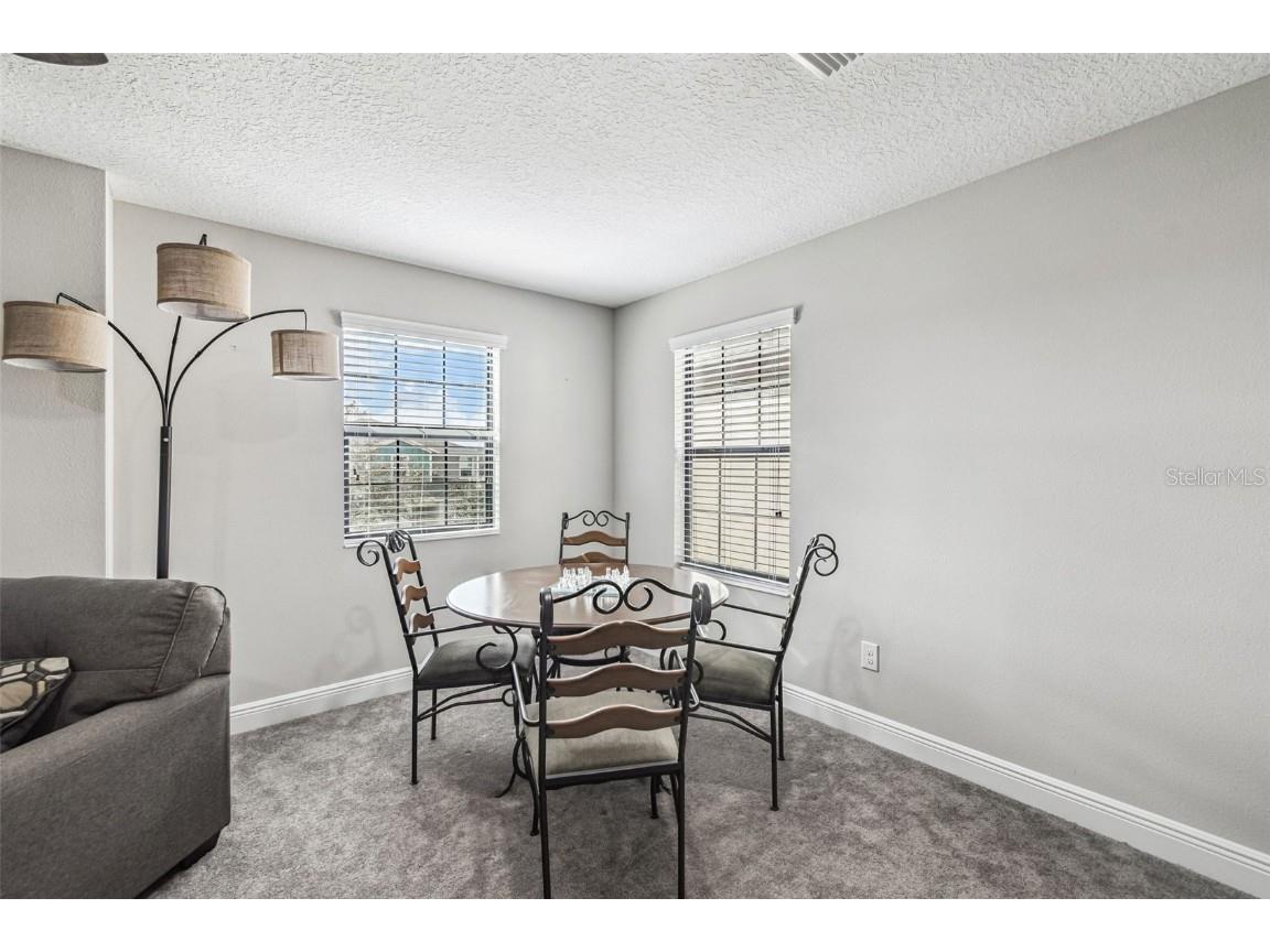 12948 Twin Bridges Drive Riverview FL 33579 TB8435388 image49