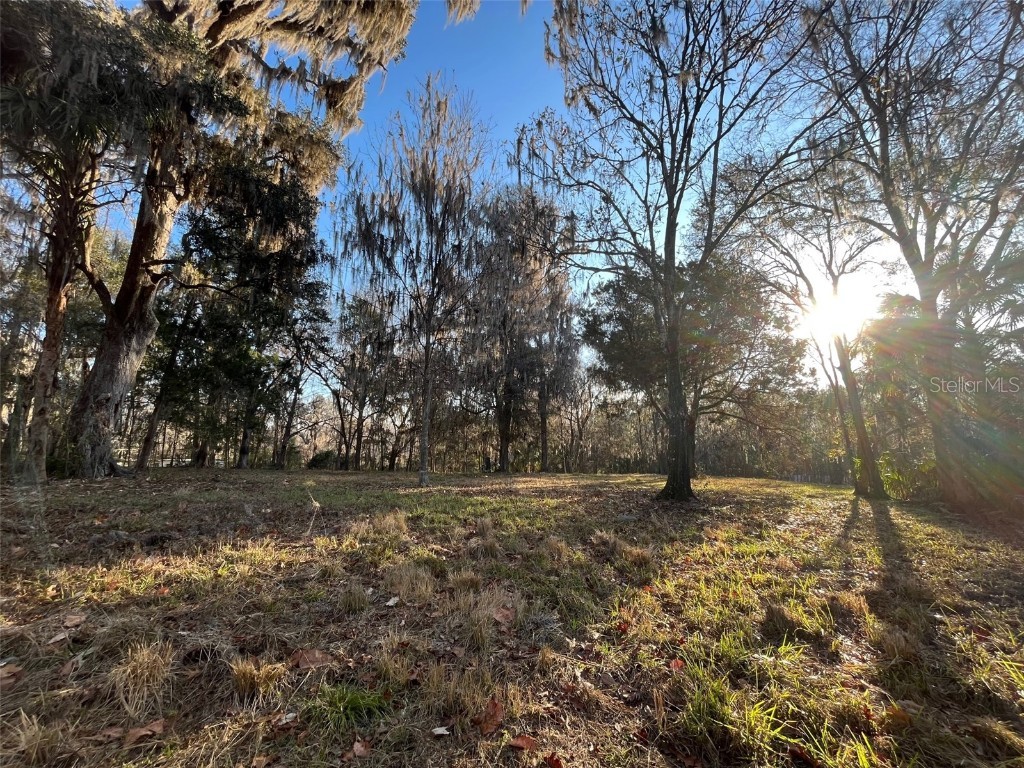 12949 SE 30th Court Belleview FL 34420 OM651663 image1