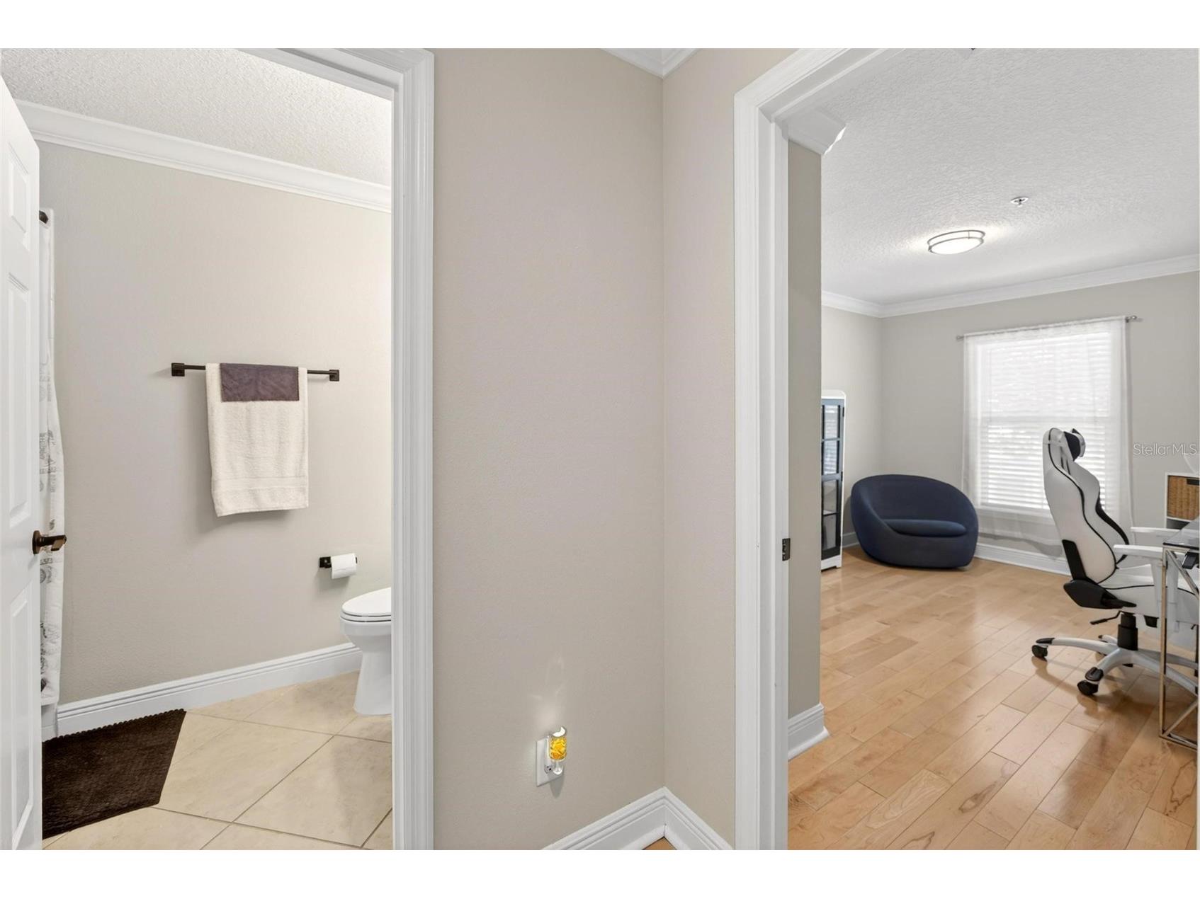 1295 Blessing Street Maitland FL 32751 O6410494 image55