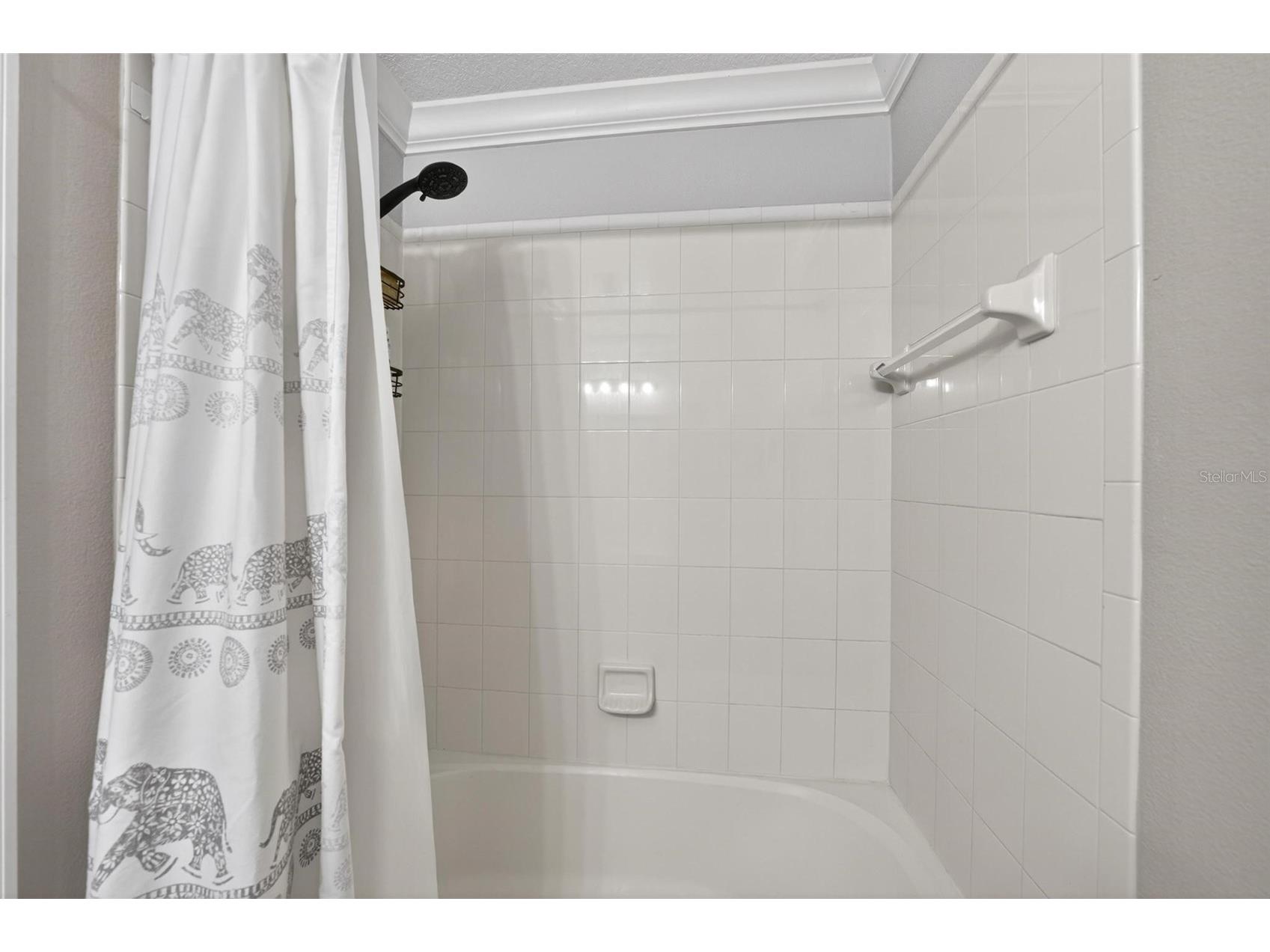 1295 Blessing Street Maitland FL 32751 O6410494 image62