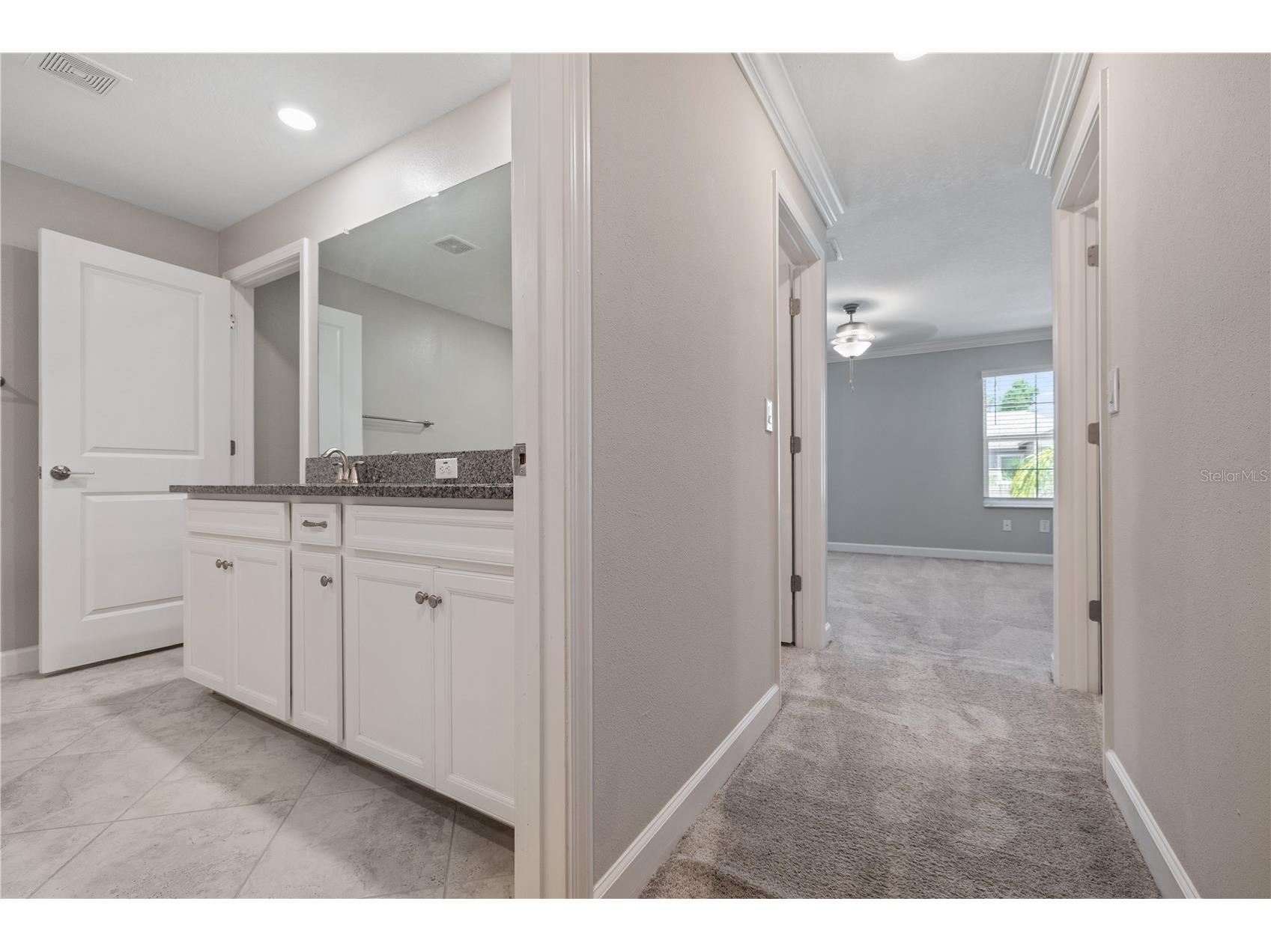 1295 White Fox Run Lutz FL 33549 TB8506695 image15
