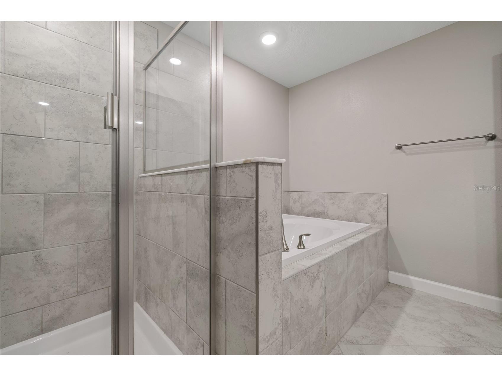 1295 White Fox Run Lutz FL 33549 TB8506695 image18