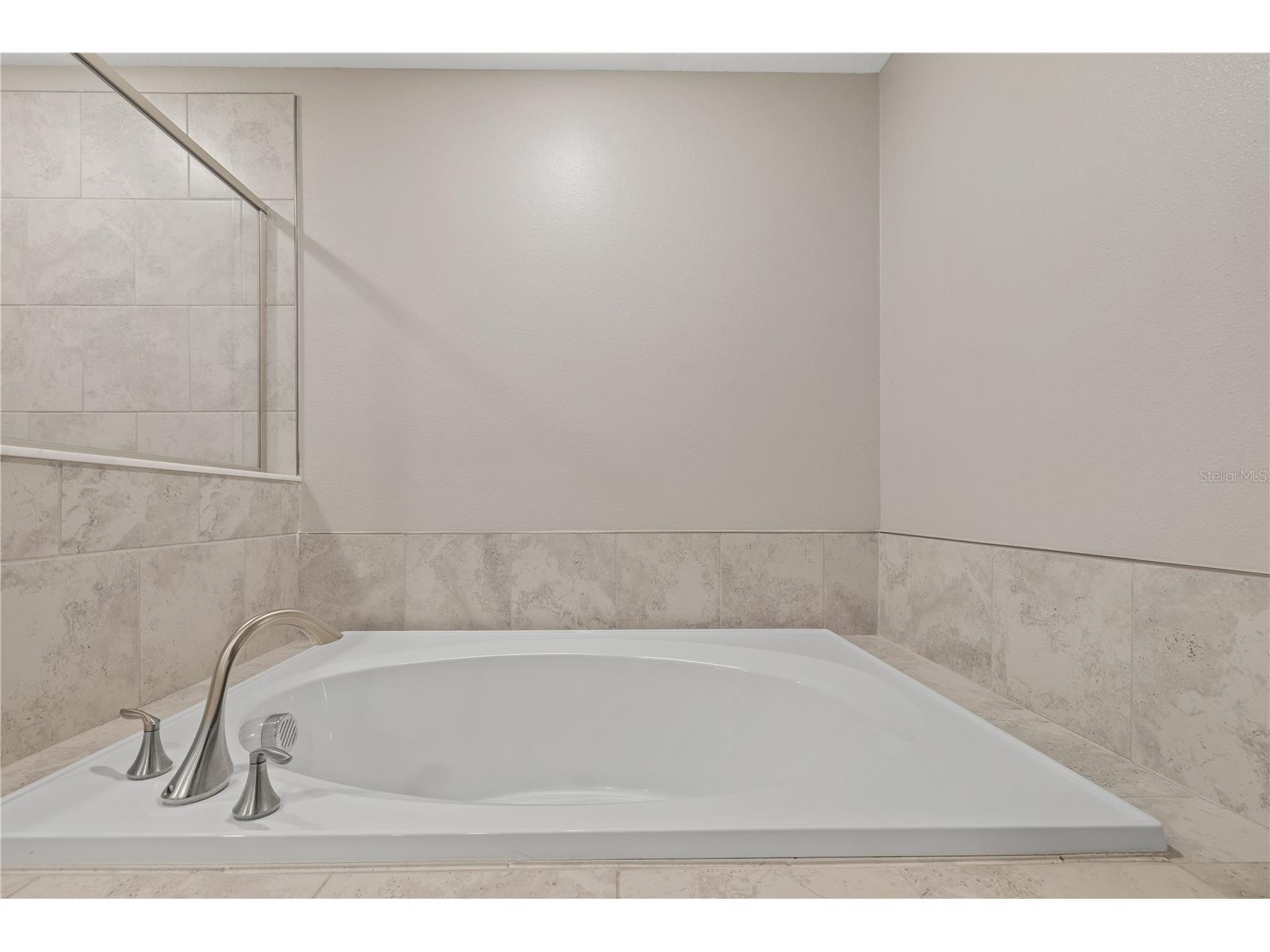 1295 White Fox Run Lutz FL 33549 TB8506695 image19