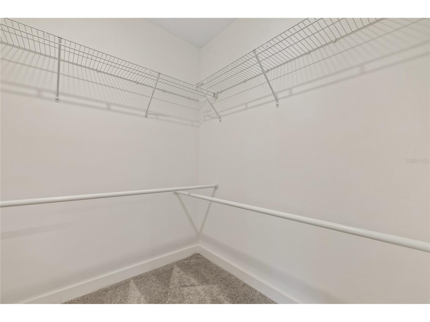 1295 White Fox Run Lutz FL 33549 TB8506695 image20