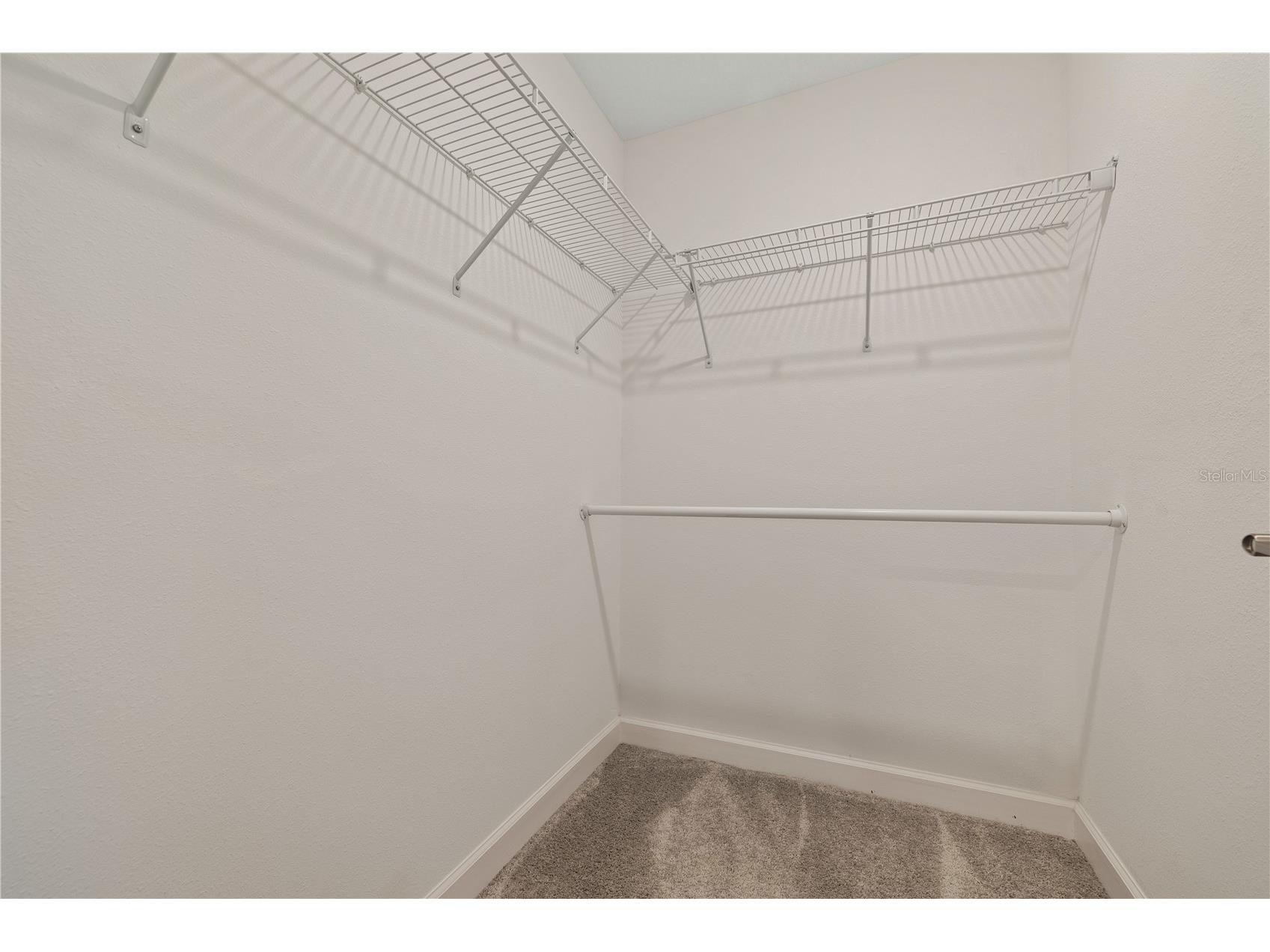 1295 White Fox Run Lutz FL 33549 TB8506695 image21